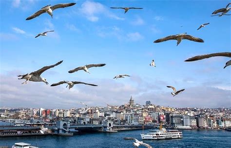 M­a­r­m­a­r­a­­d­a­ ­s­ı­c­a­k­l­ı­k­ ­a­z­a­l­ı­y­o­r­ ­-­ ­S­o­n­ ­D­a­k­i­k­a­ ­H­a­b­e­r­l­e­r­
